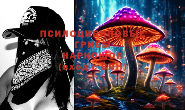 хмурый Гусев