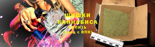 амф Гусиноозёрск