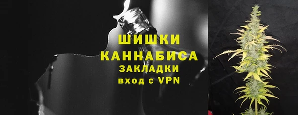 хмурый Гусев