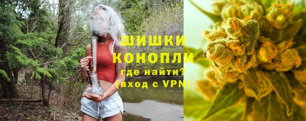 амф Гусиноозёрск