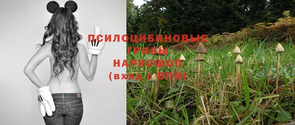 амф Гусиноозёрск
