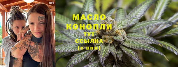 крисы Гусь-Хрустальный