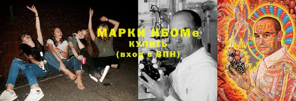 амф Гусиноозёрск