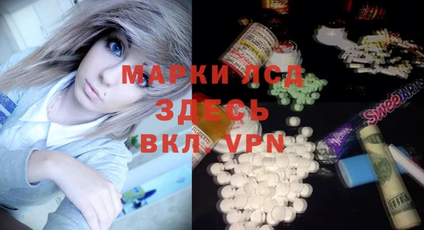 прущие грибы Сатка