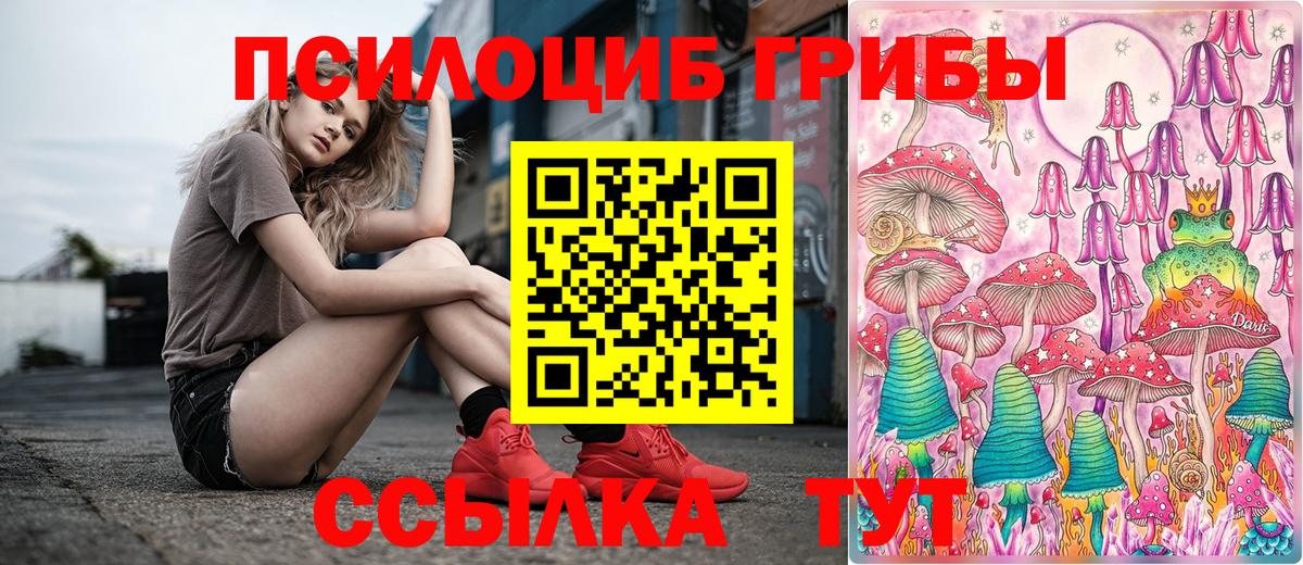 Псилоцибиновые грибы Cubensis Москва