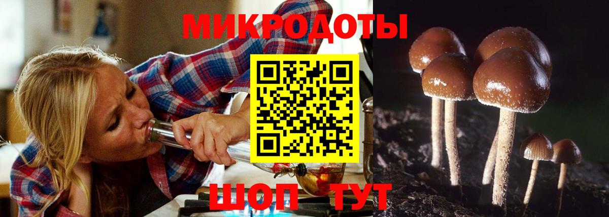 Псилоцибиновые грибы Cubensis  закладка  Москва  Вход с VPN 